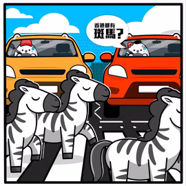突發！！！有斑馬......線呀！
