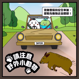 請注意野外小動物